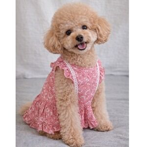 C&C California Pink Floral Dog Dress with Lace